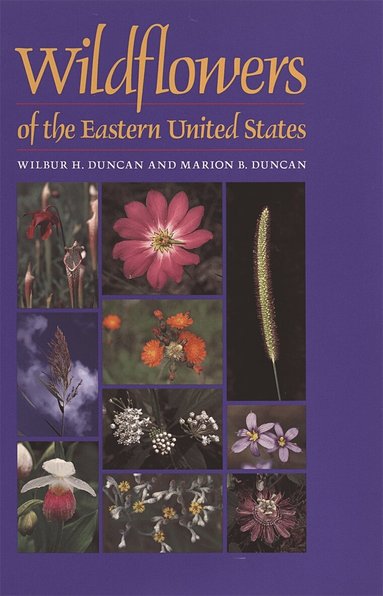 Wilbur H. Duncan, Marion B. Duncan - Wildflowers of the Eastern United States, Häftad