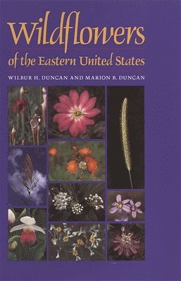 Wildflowers of the Eastern United States 1