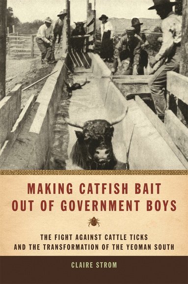 Claire Strom - Making Catfish Bait out of Government Boys, Inbunden
