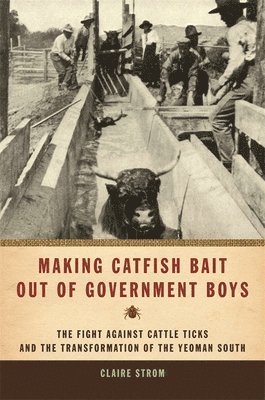 Making Catfish Bait out of Government Boys 1