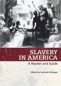 bokomslag Slavery In America