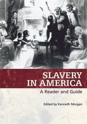 bokomslag Slavery in America