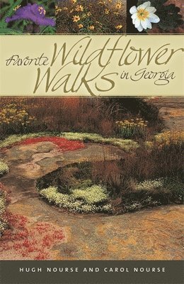 Favorite Wildflower Walks in Georgia 1