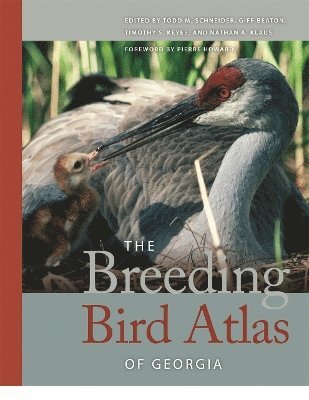 bokomslag The Breeding Bird Atlas of Georgia