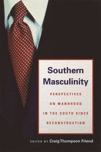 bokomslag Southern Masculinity