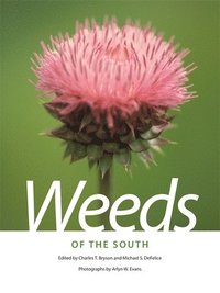 bokomslag Weeds of the South