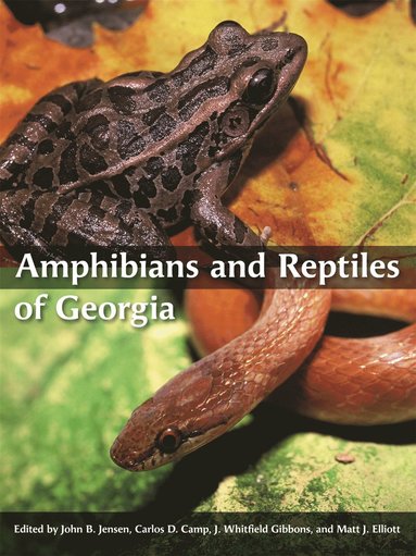 bokomslag Amphibians and Reptiles of Georgia