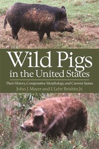 bokomslag Wild Pigs in the United States