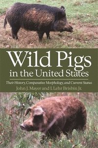 bokomslag Wild Pigs of the United States