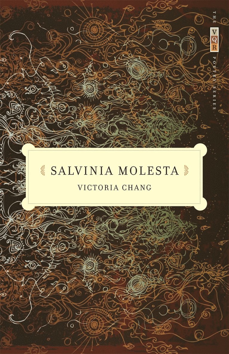 Salvinia Molesta 1