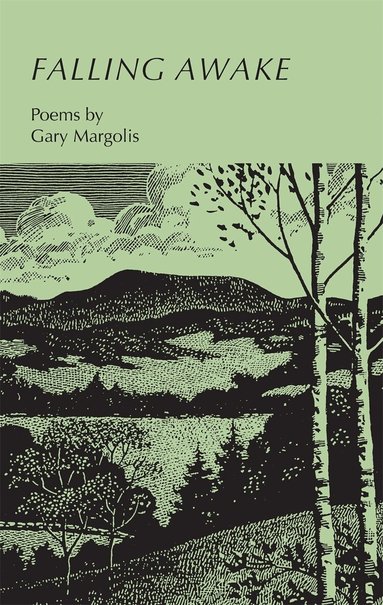 Gary Margolis - Falling Awake, Häftad