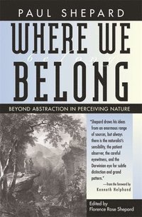 bokomslag Where We Belong: Beyond Abstraction in Perceiving Nature