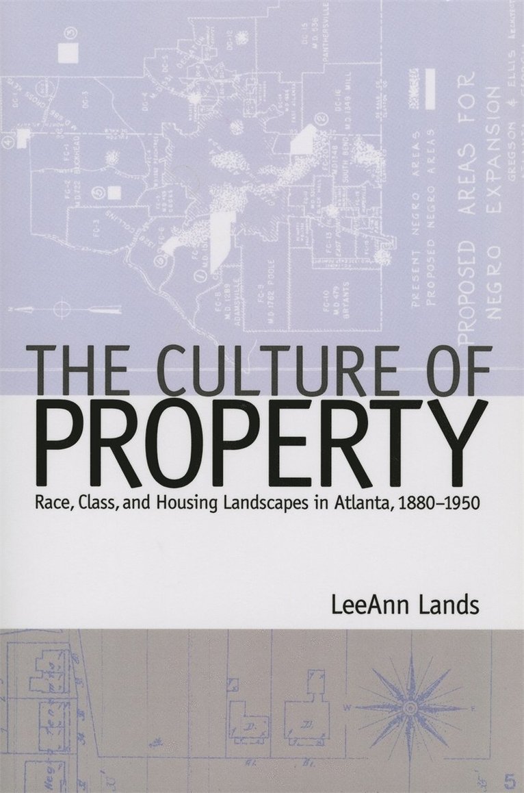 LeeAnn B. Lands, Leeann B. Lands, Leeann Lands, Leeann B Lands - Culture of Property, Häftad
