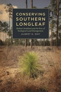 bokomslag Conserving Southern Longleaf