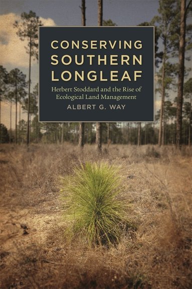 Albert G. Way - Conserving Southern Longleaf, Inbunden