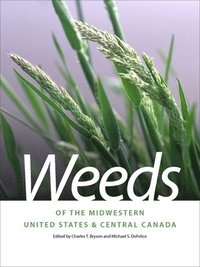 bokomslag Weeds of the Midwestern United States and Central Canada