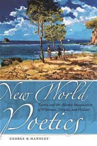 bokomslag New World Poetics