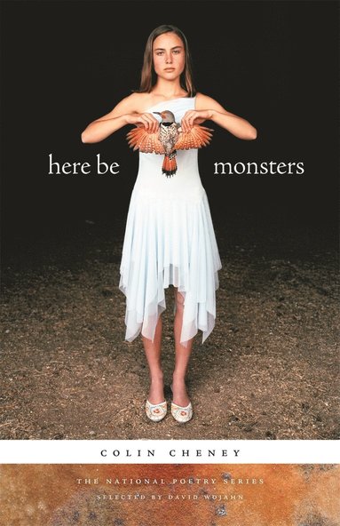 bokomslag Here Be Monsters
