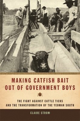Claire Strom - Making Catfish Bait out of Government Boys, Häftad