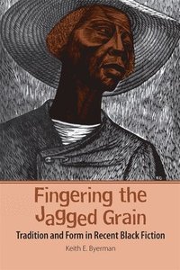 bokomslag Fingering the Jagged Grain