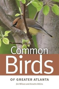 bokomslag Common Birds of Greater Atlanta