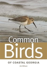 bokomslag Common Birds of Coastal Georgia