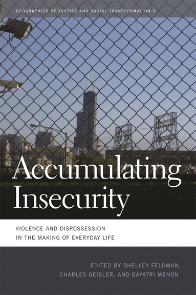 Shelley Feldman, Charles Geisler, Gayatri A. Menon - Accumulating Insecurity, Häftad