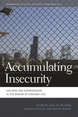 Shelley Feldman, Charles Geisler, Gayatri A. Menon, Gayatri a Menon - Accumulating Insecurity, Häftad