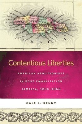 Gale L. Kenny, Gale L Kenny - Contentious Liberties, Häftad