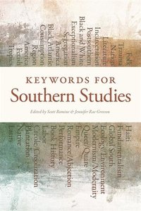 bokomslag Keywords for Southern Studies