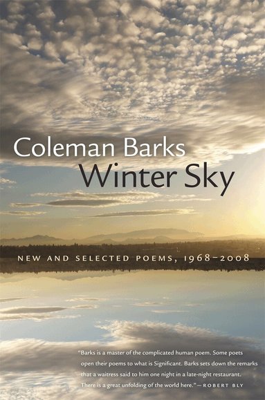 Coleman Barks - Winter Sky, Häftad