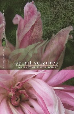 Spirit Seizures 1