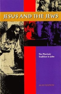 bokomslag Jesus and the Jews