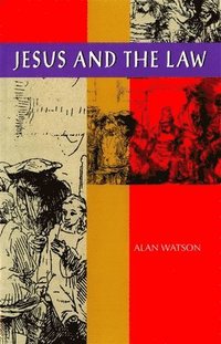 bokomslag Jesus and the Law