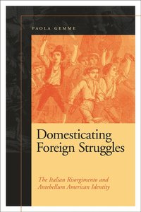 bokomslag Domesticating Foreign Struggles