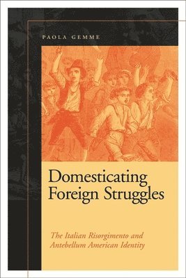 Domesticating Foreign Struggles 1