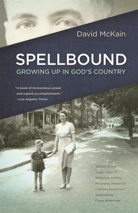 bokomslag Spellbound