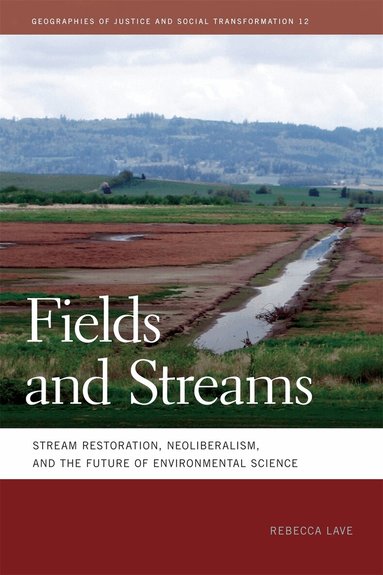 Rebecca Lave - Fields and Streams, Häftad