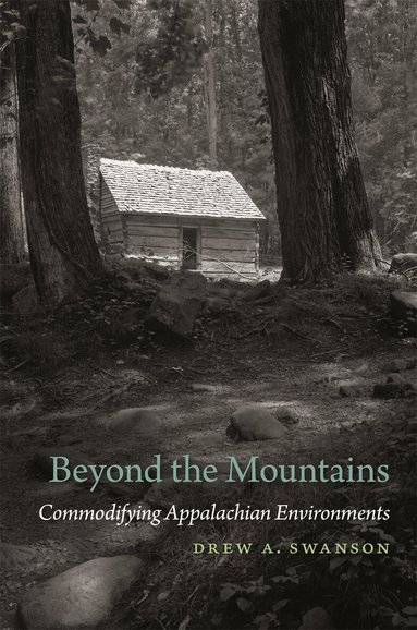 Drew A. Swanson - Beyond the Mountains, Inbunden