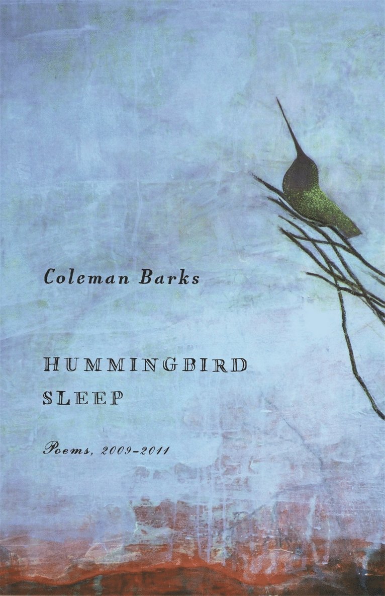 Hummingbird Sleep 1