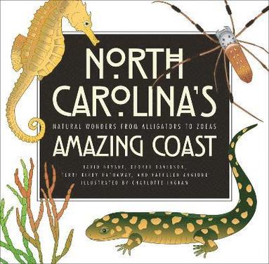 bokomslag North Carolinas Amazing Coast