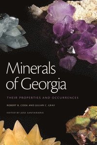 bokomslag Minerals of Georgia