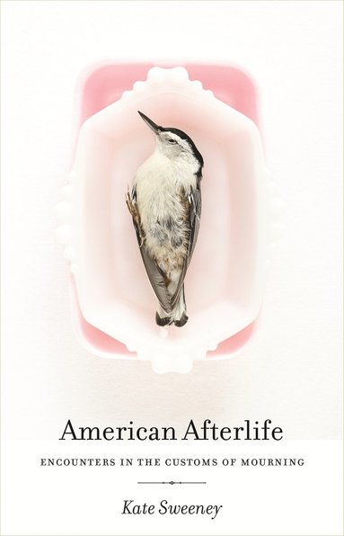 bokomslag American Afterlife