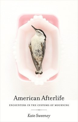 American Afterlife 1