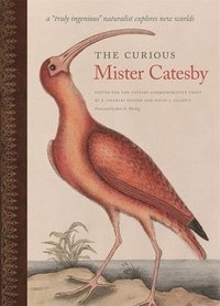 bokomslag The Curious Mister Catesby