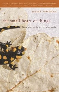 bokomslag The Small Heart of Things
