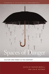 bokomslag Spaces of Danger