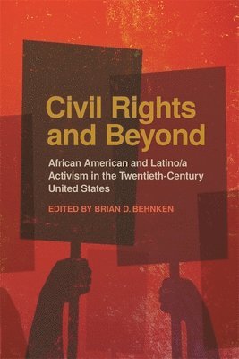 bokomslag Civil Rights and Beyond