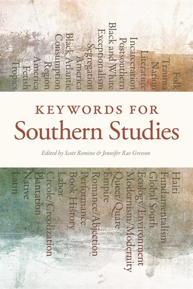 bokomslag Keywords for Southern Studies
