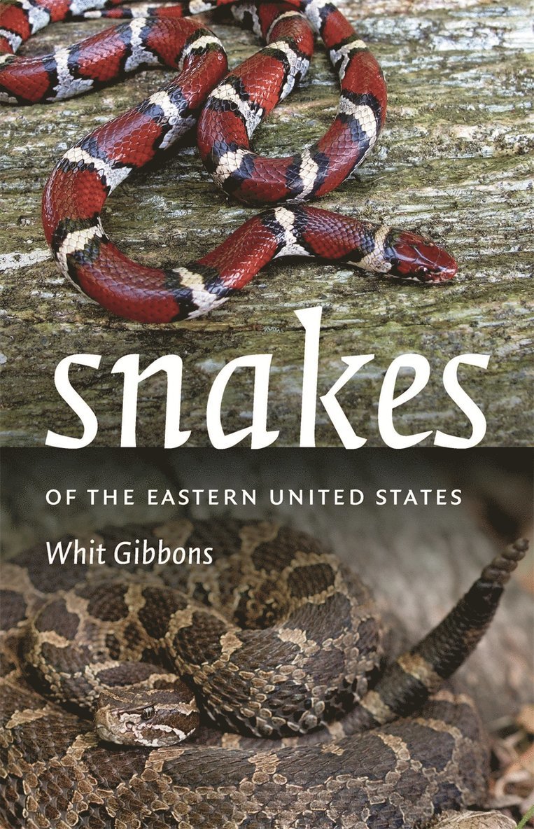 Snakes of the Eastern United States 1